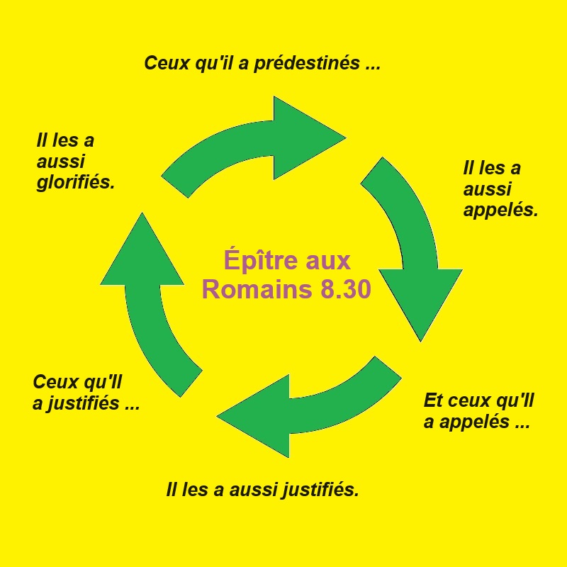 ptre aux Romains 8.30
