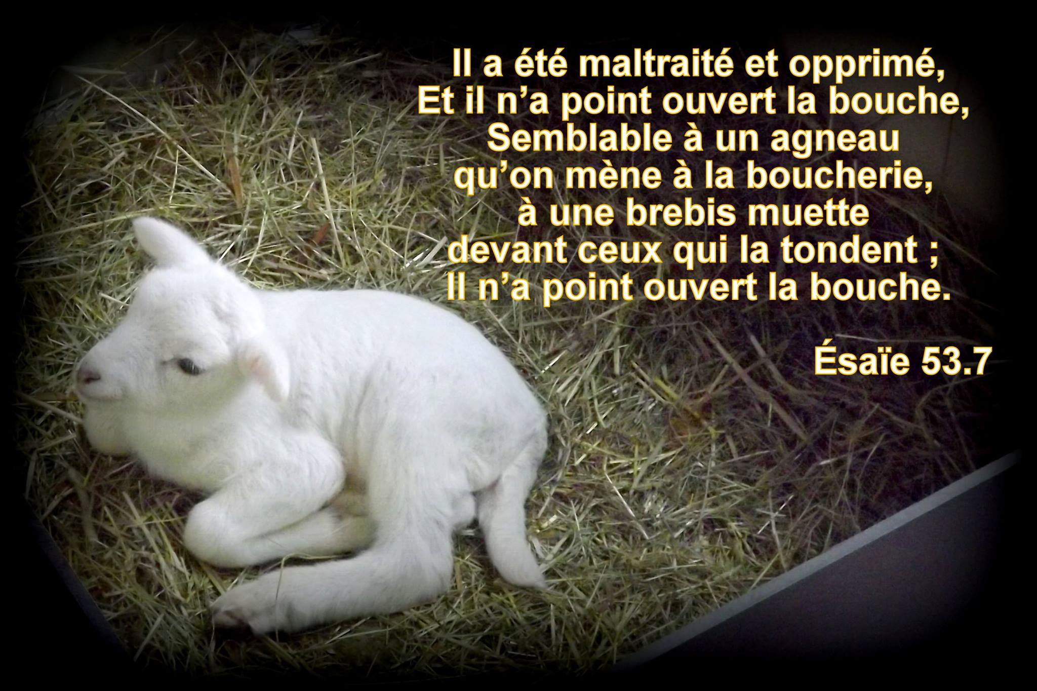 Le Fils outrag