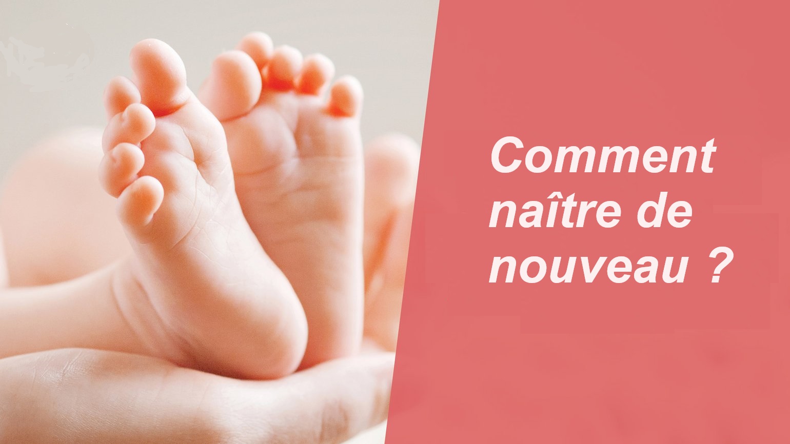 La nouvelle naissance