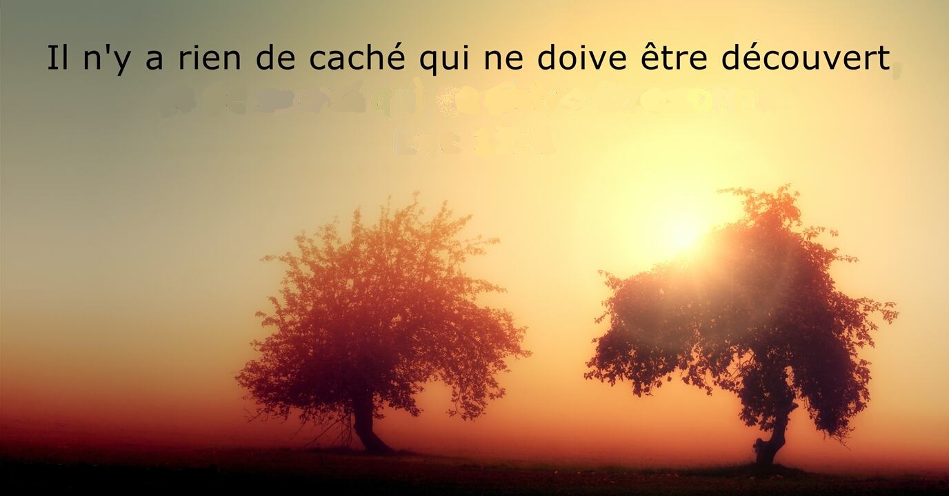 Tout sera dvoil !